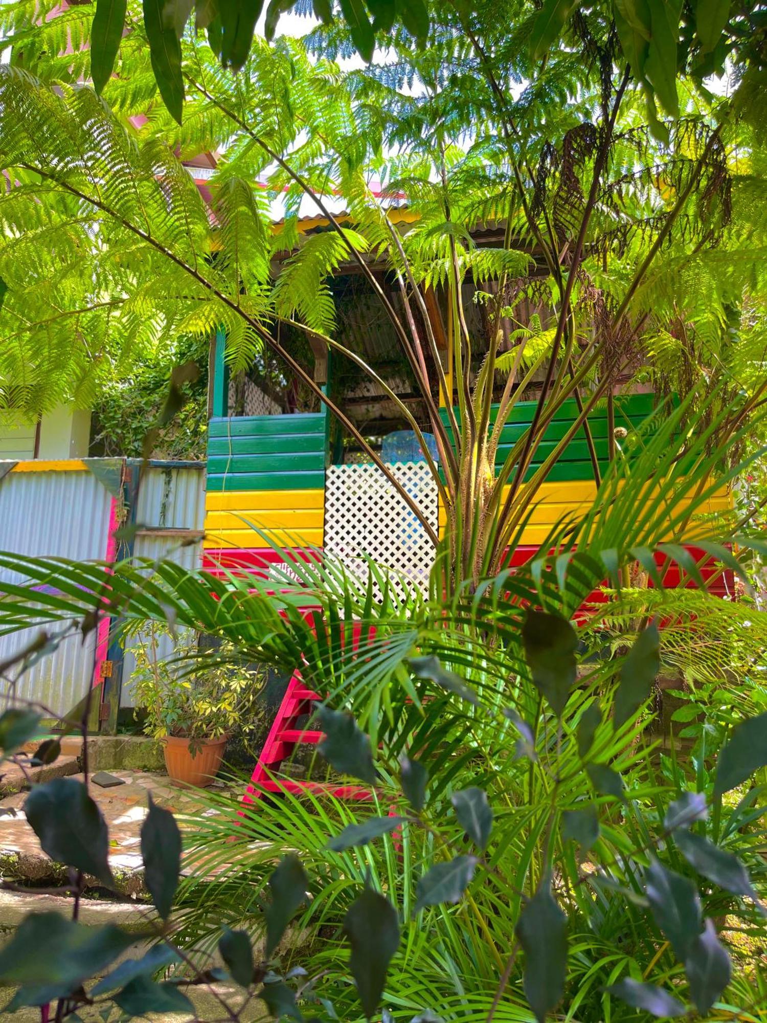 Le Petit Paradis Ροζό Εξωτερικό φωτογραφία