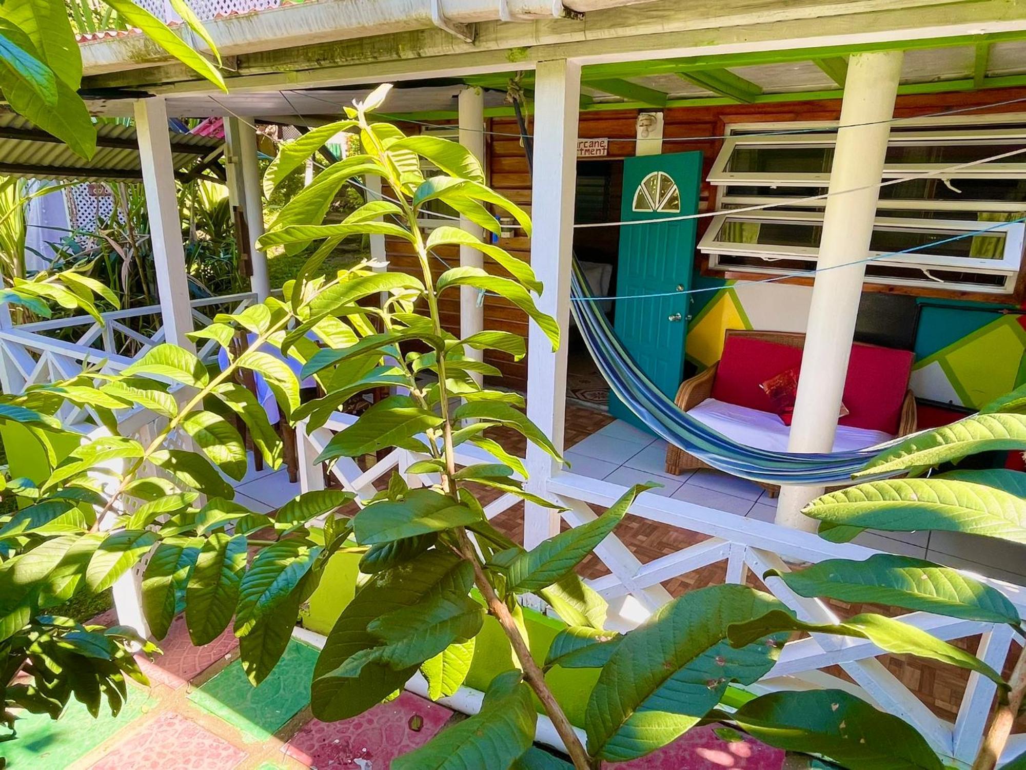 Le Petit Paradis Ροζό Εξωτερικό φωτογραφία